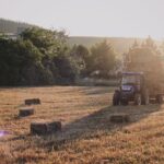 Hay And Straw