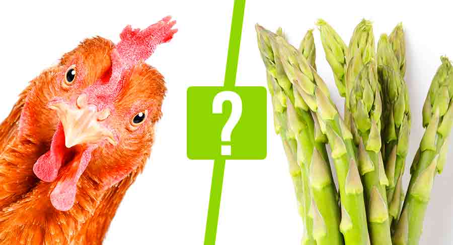 can chickens eat asparagus