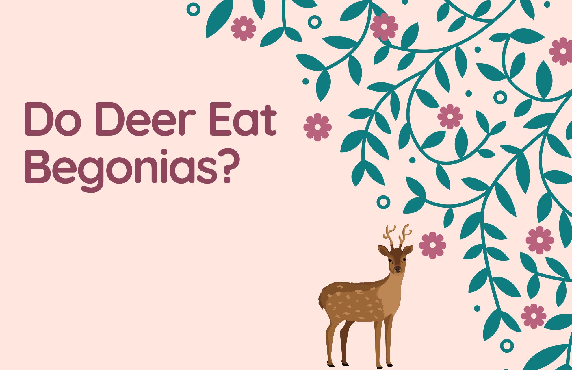 Do Deer Eat Begonias