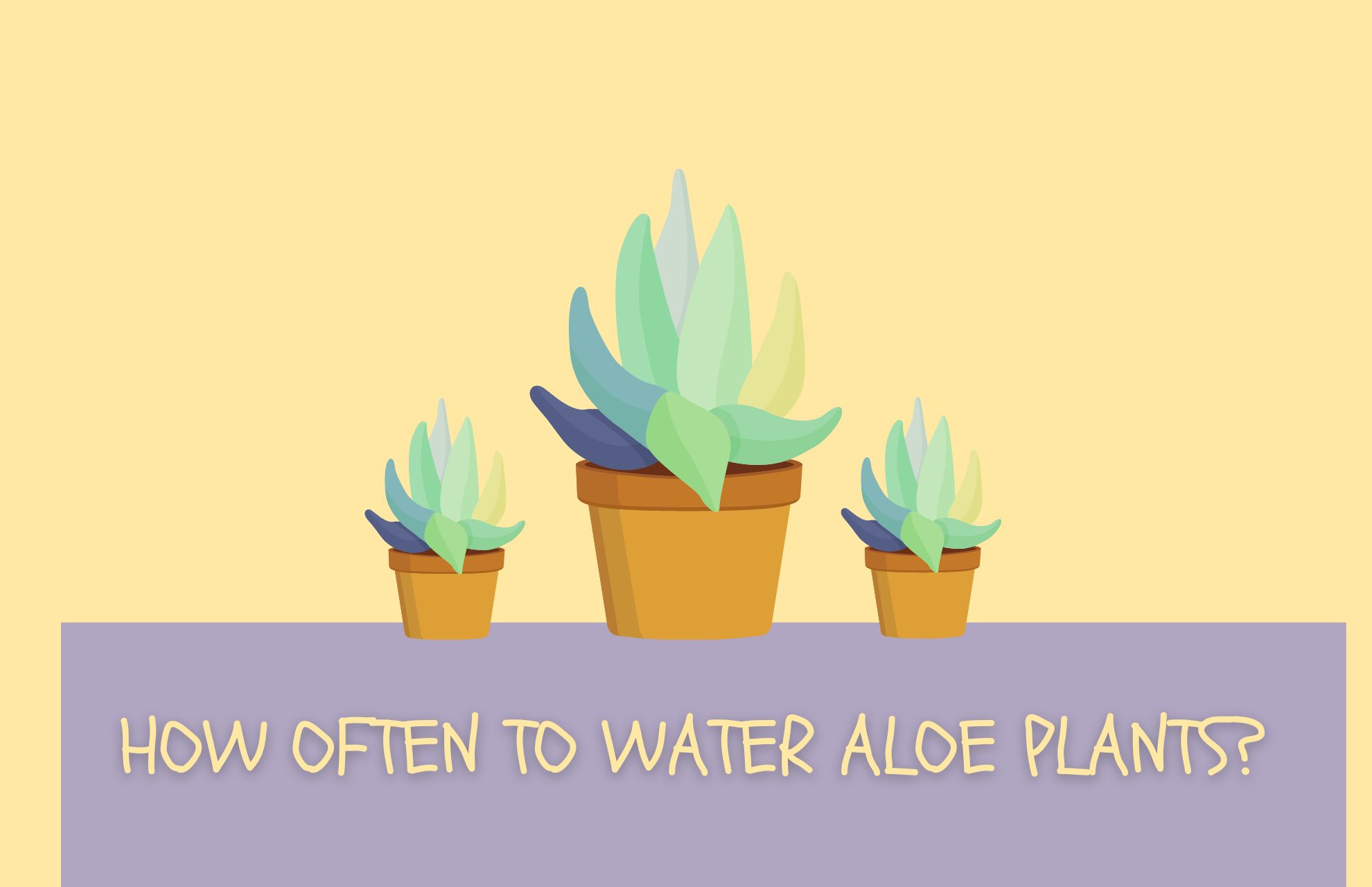 how often to water aloe