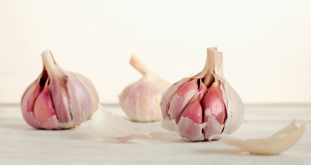 when to plant garlic