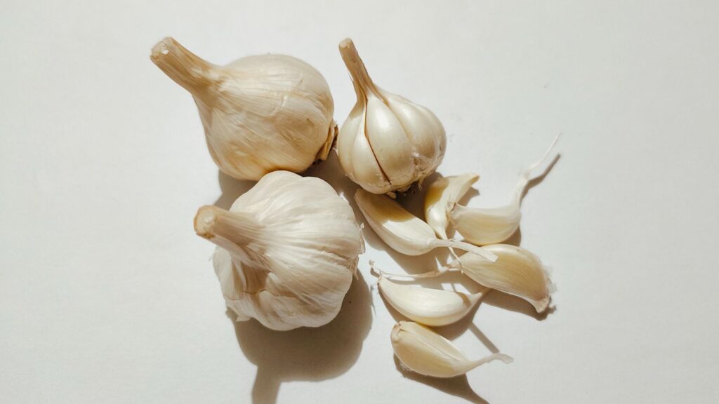 when to plant garlic