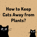 How to Keep Cats Away from Plants? 11 Tips