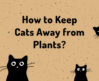 How to Keep Cats Away from Plants? 11 Tips