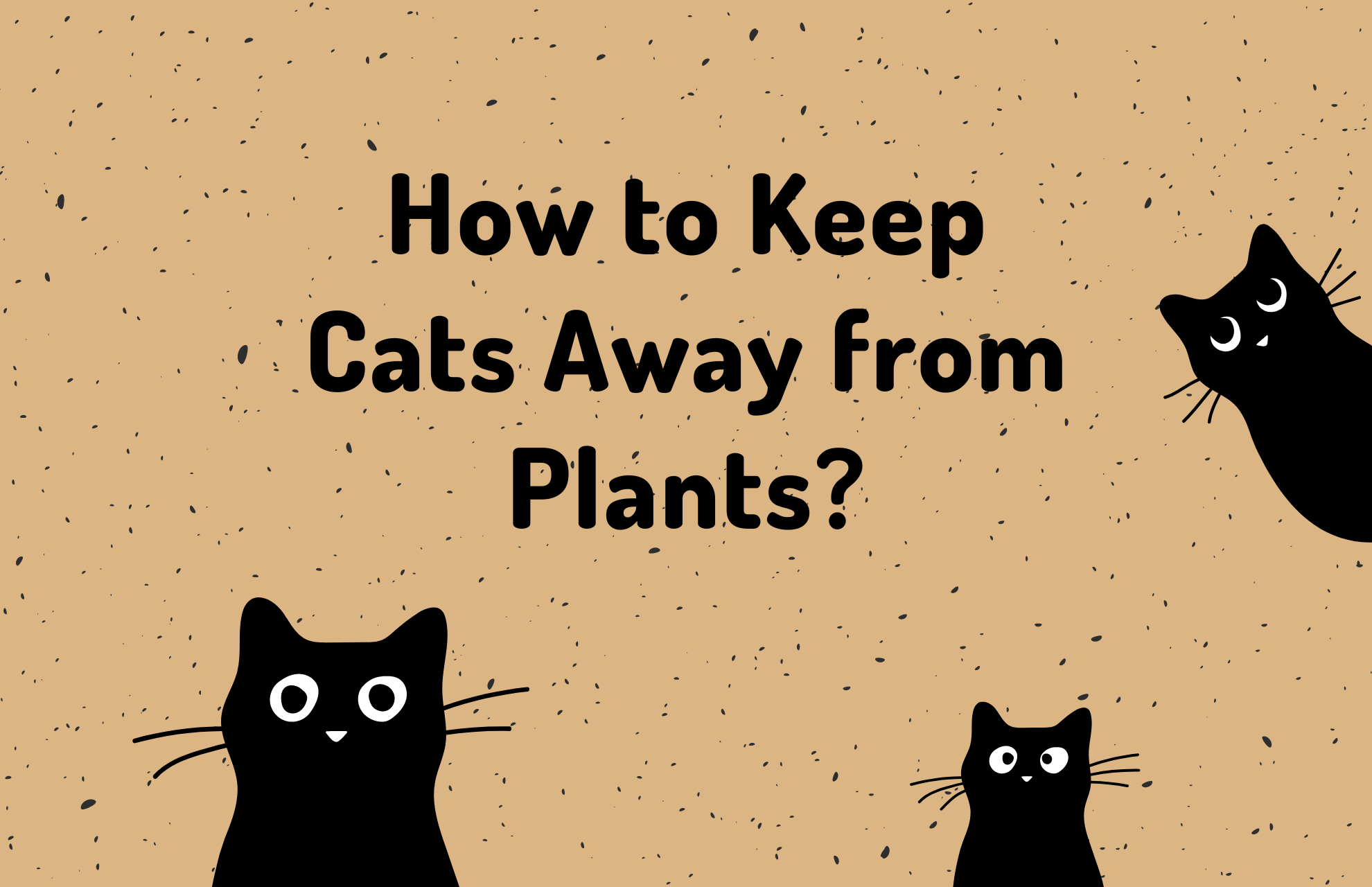 How to Keep Cats Away from Plants? 11 Tips