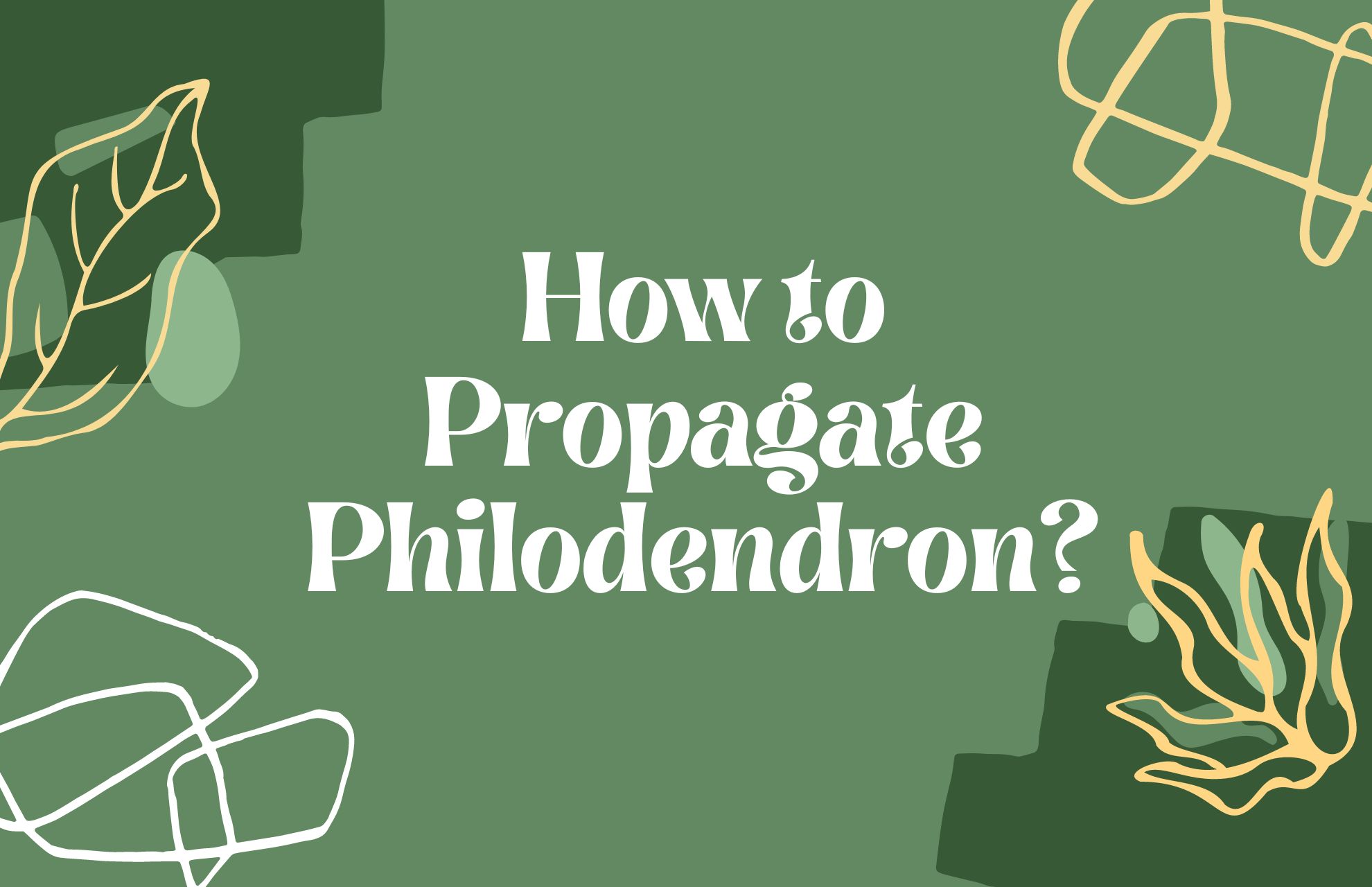 How to Propagate Philodendron? 3 Methods