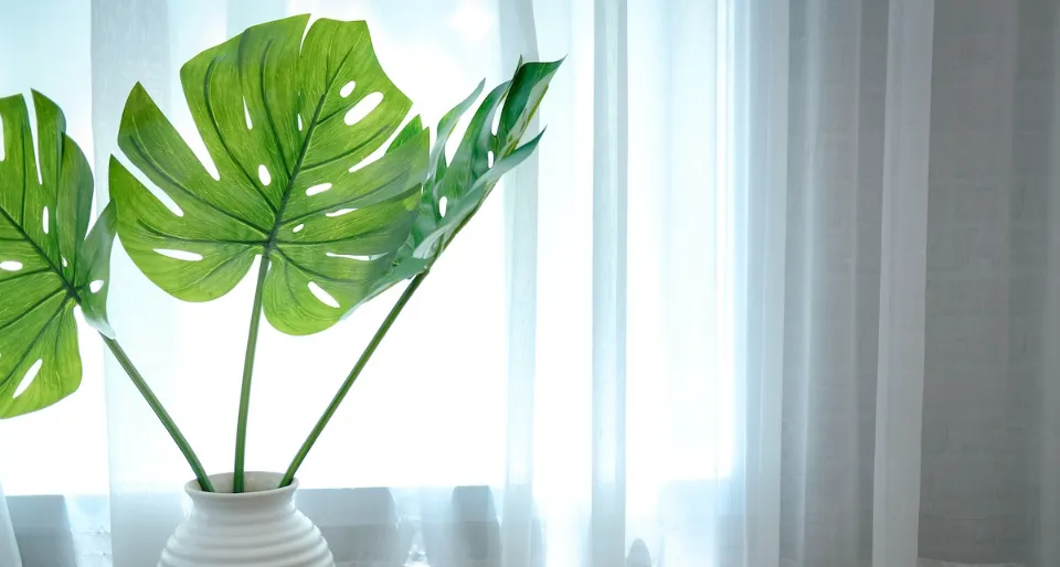 A Complete Guide to Split-leaf Philodendron Care